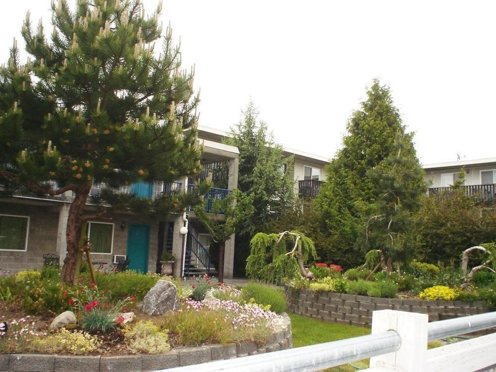 Bayside Motor Inn Блейн Екстер'єр фото